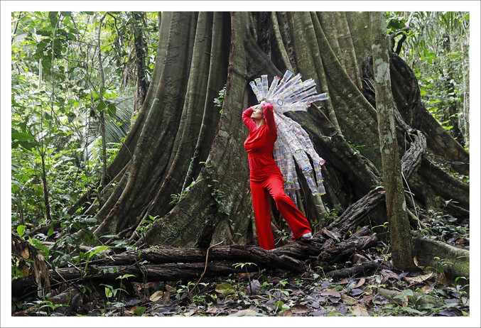 Carolina Bazo | Selva Roja I