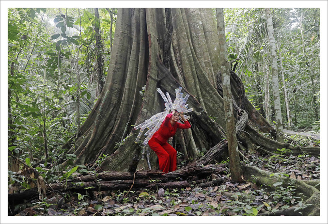 Carolina Bazo | Selva Roja III