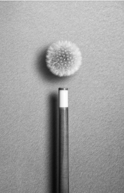 Jordi Larroch | La partida Jordi Larroch | La partida