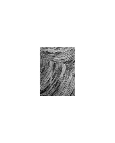 Manu Iranzo | Prisma ii
