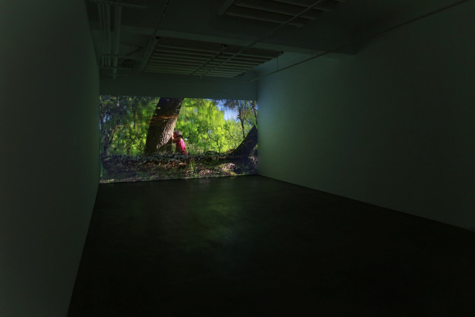 CHANG Chun-Yi | Fairy Lake #1