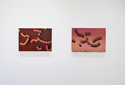 Sergio Rocafort | S/T Sergio Rocafort | S/T