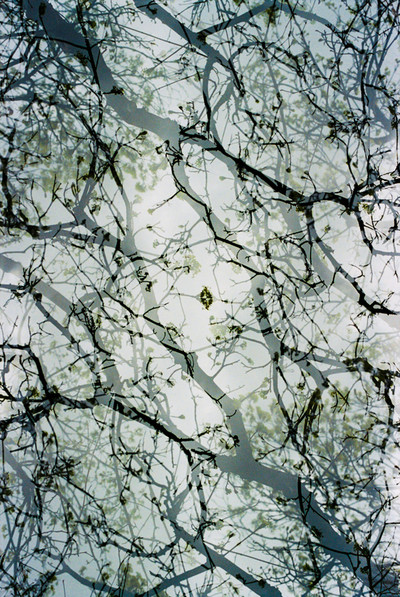 Francisco Pereira Coutinho | Bruxelas I Francisco Pereira Coutinho | Bruxelas I