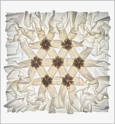Pierre Louis Geldenhuys | Campo de amapolas