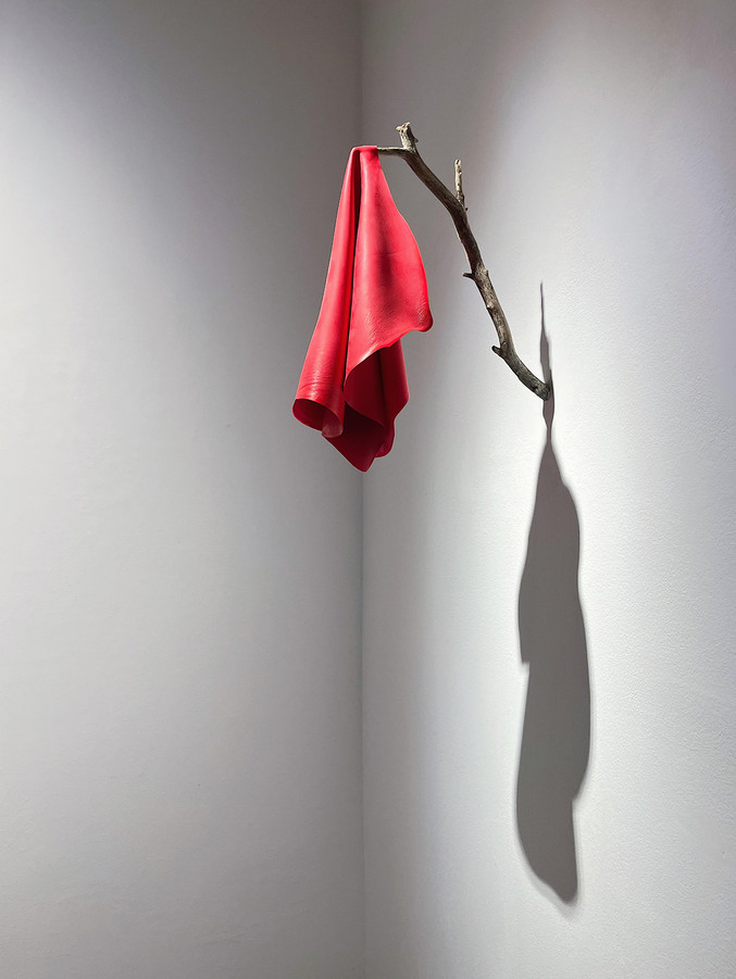 Ignacio Iñigo | Me recogio el viento sobre un arbol catalan