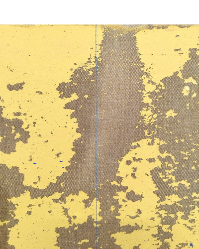 DIMASLA (Diana + Álvaro) | Silencio en el tercer paisaje (Detalle)