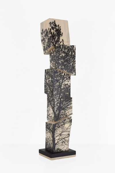 Agustín Serisuelo | Paisaje en torre